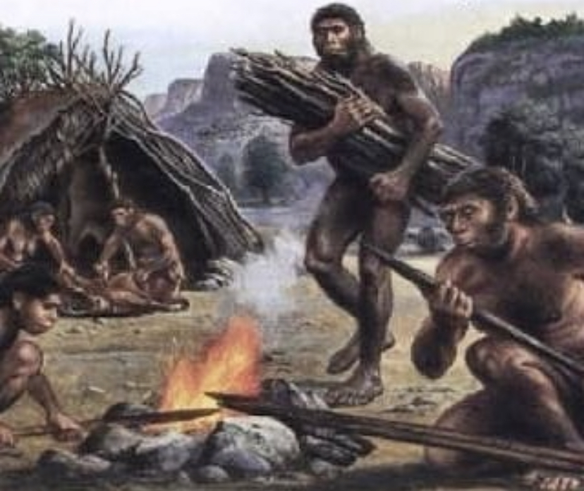 Homo Wajakensis Tulungagung diluruskan sejarawan. Bukan sekadar Desa Wajak, tapi bukti manusia purba modern di selatan Jawa.