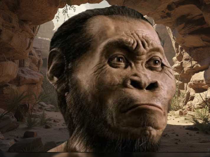 Suku Wajak diyakini sebagai suku tertua di Indonesia. Berasal dari Tulungagung, jejak Homo wajakensis dan misterinya masih diperdebatkan.