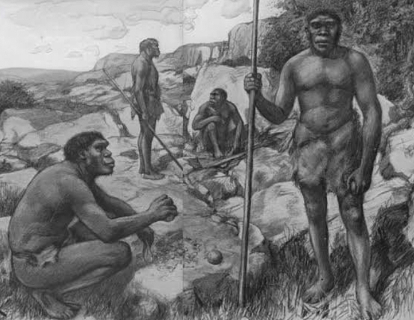 Museum Jawa Prehistoric Tulungagung simpan fosil gajah 20.000 tahun dari Gua Tenggar, jadi pusat riset prasejarah baru.
