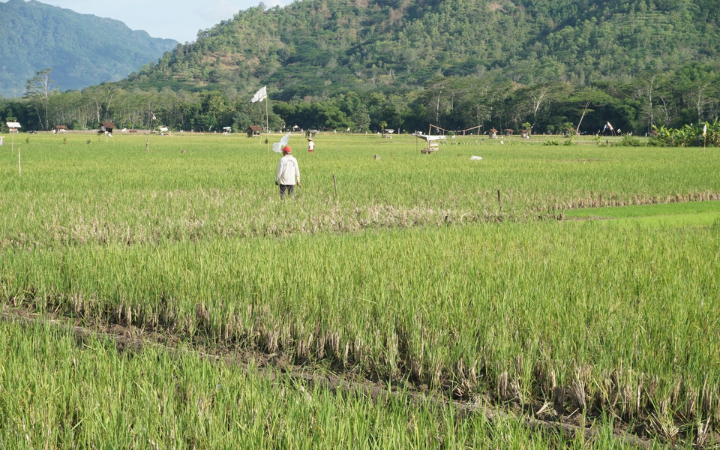 SUBUR: Proses perubahan fungsi lahan pertanian berkelanjutan hanya dilakukan dengan izin Kementerian Pertanian dan wajib menyediakan lahan pengganti.