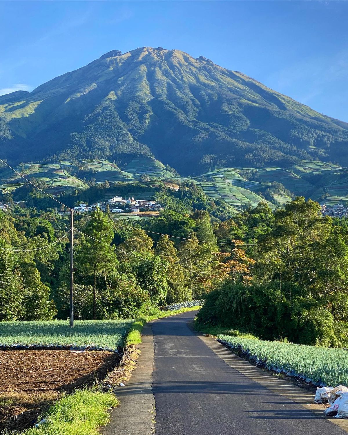 Menjelajah Nepal Van Java di lereng Gunung Sumbing, desa tertinggi dan destinasi viral di Magelang dengan panorama pegunungan memukau.