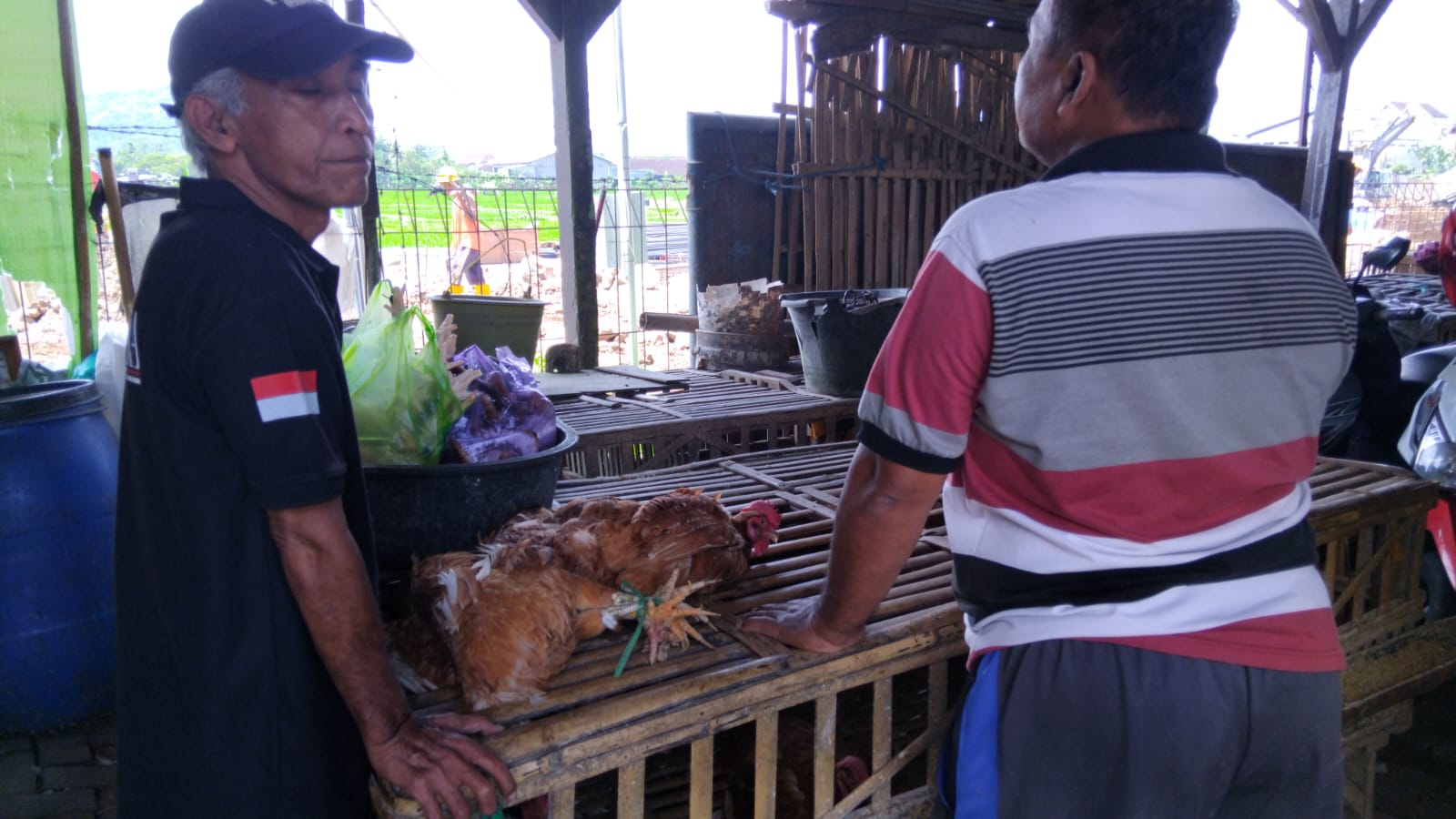 Potret seorang pedagang ayam sedang melayani pembeli