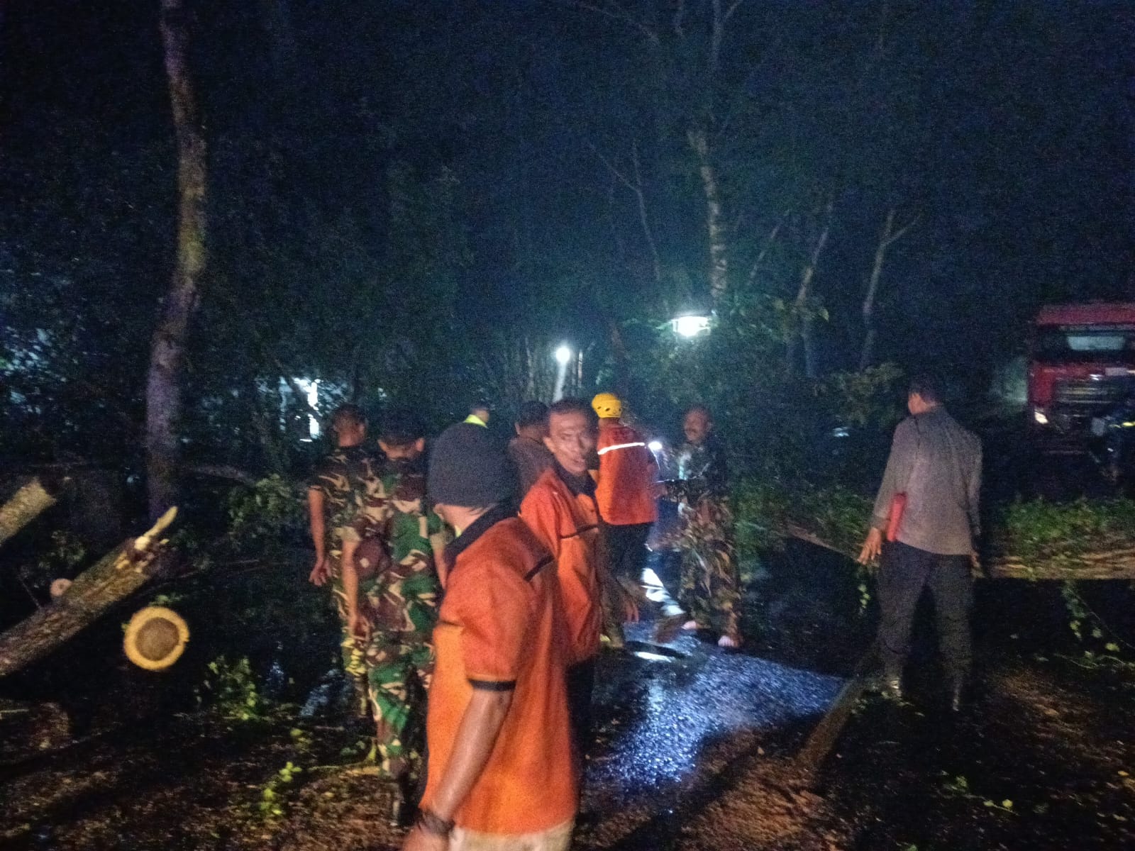 Pohon tumbang di Desa Nglinggis, Kecamatan Tugu, Kabupaten Trenggalek, usai hujan deras, pada Sabtu (27/2/2026).