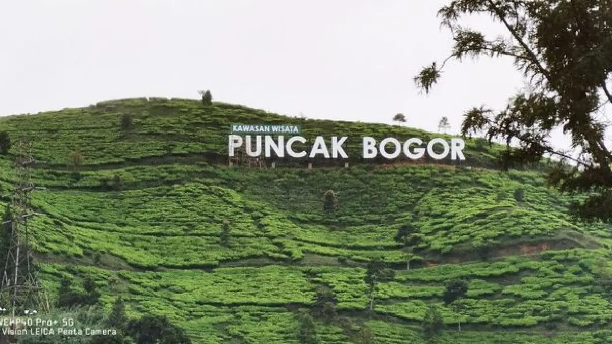 11 wisata Bogor terbaru 2026 yang lagi hits, dari Mini Mania hingga Curug Ciherang, cocok untuk liburan keluarga dan healing.