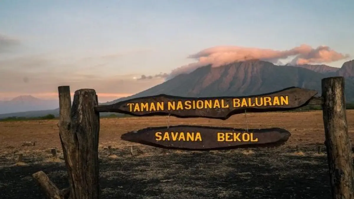 15 tempat wisata Jawa Timur paling favorit 2026, dari Gunung Bromo hingga blue fire Ijen yang mendunia dan wajib dikunjungi.