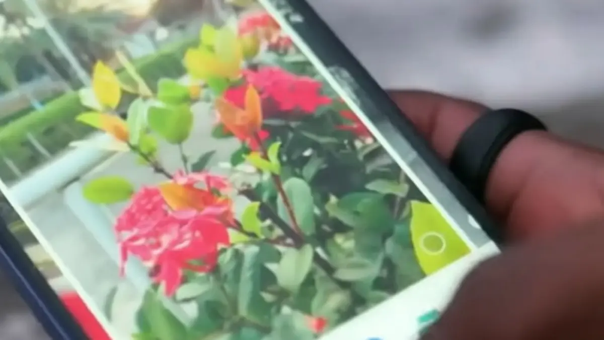 Daftar hp kamera terbaik 2026 harga 4 jutaan dengan hasil foto tajam, OIS, dan video 4K, cocok untuk konten kreator.