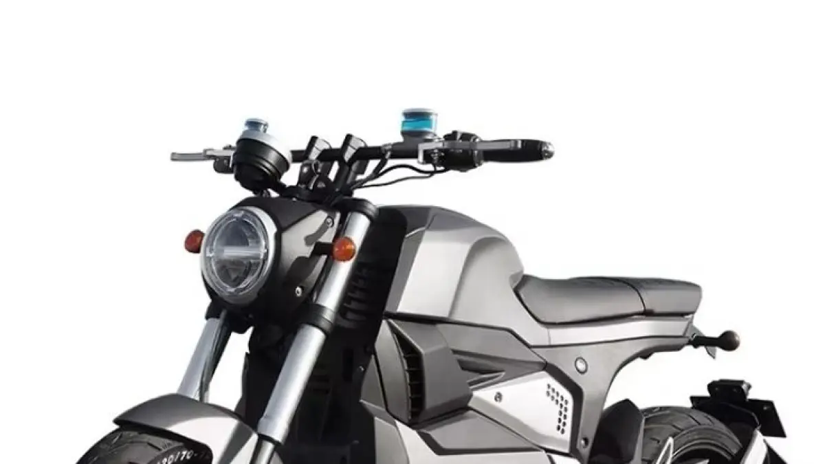 Motor listrik sepi peminat! Penjualan anjlok hingga 80% usai subsidi dicabut. Ini penyebab utama masyarakat belum tertarik.(Pinterest)