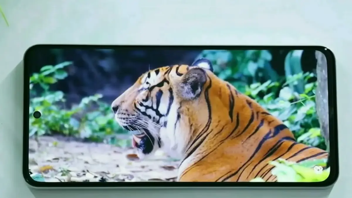 Rekomendasi hp 1 jutaan layar AMOLED termurah 2026 dengan visual tajam dan fitur premium, wajib kamu tahu! (SC YOUTUBE)