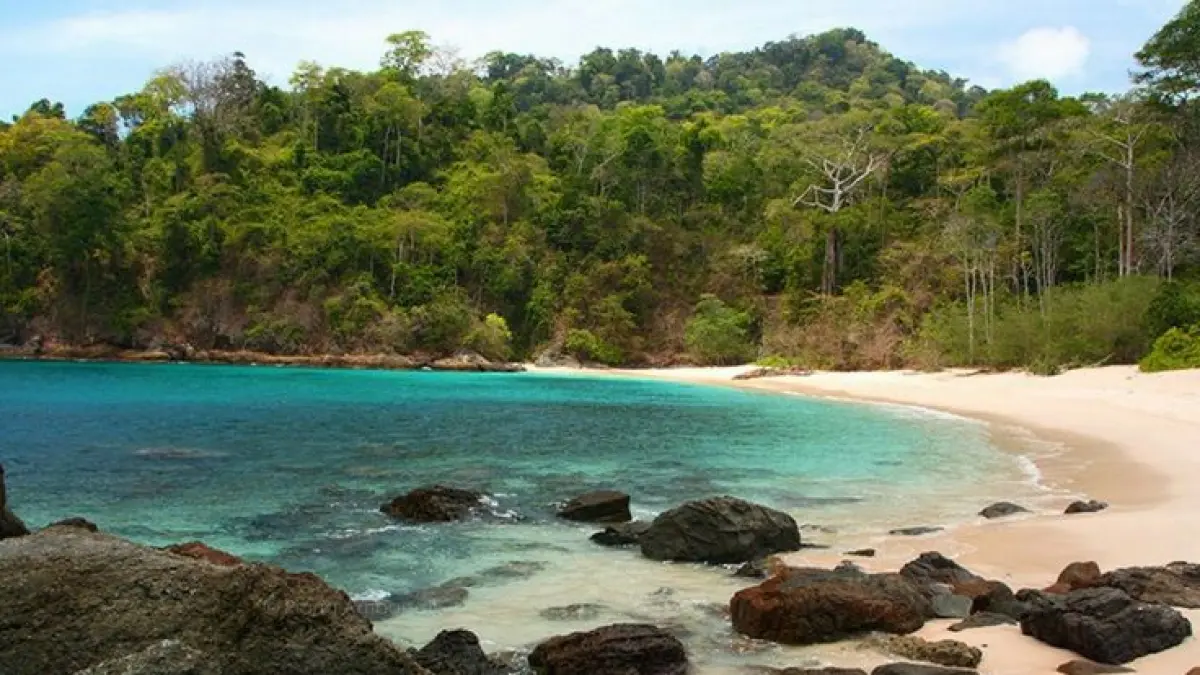 Wisata Banyuwangi 2026 makin hits dengan Gunung Ijen, Pulau Merah, hingga Baluran yang disebut mirip Afrika. (Pinterest.com)