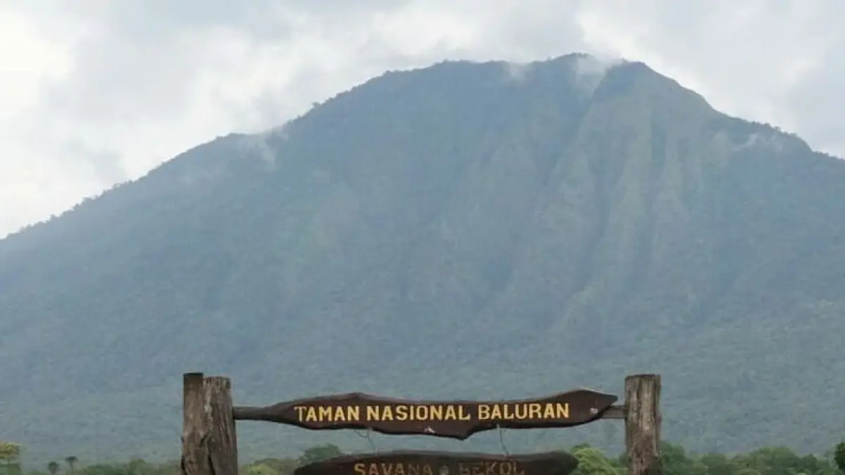 Wisata Banyuwangi 2026 makin populer, dari Kawah Ijen hingga Pantai Pulau Merah jadi destinasi favorit wisatawan. (Pinterest.com)