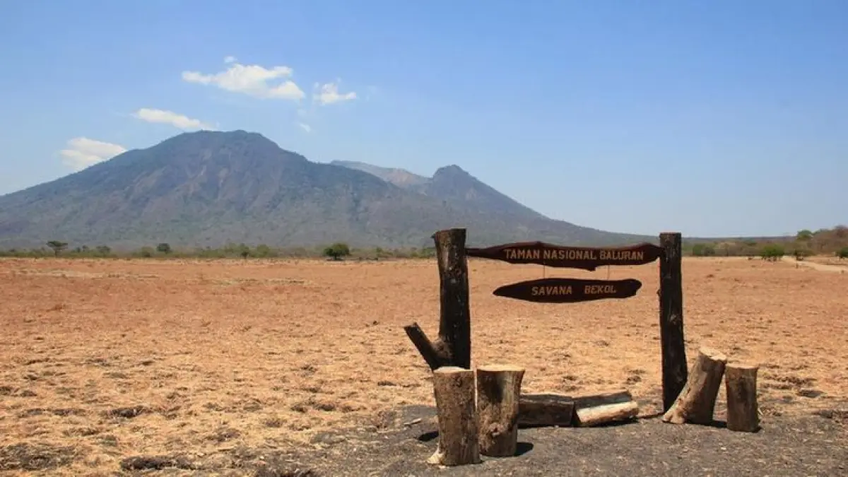15 tempat wisata Jawa Timur paling favorit 2026, mulai Bromo, Gunung Ijen, Pantai Pulau Merah hingga Gili Iyang (Pinterest).