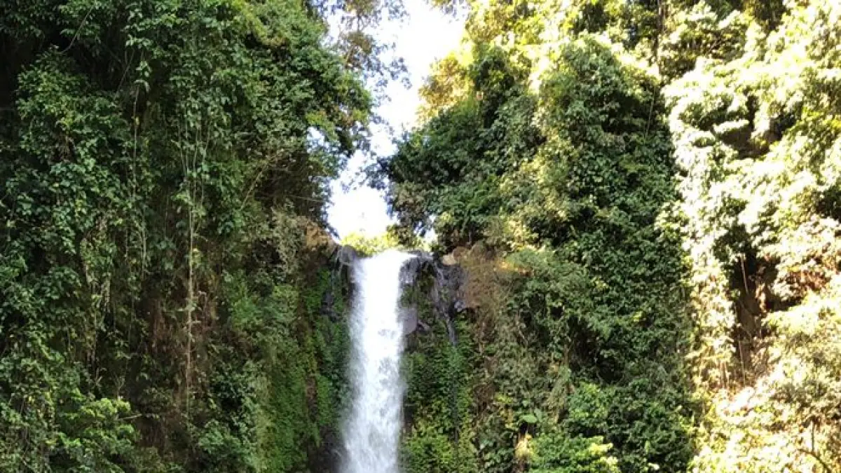 Jelajahi Hidden Gem Bali! Dari Ubud hingga Sekumpul, temukan destinasi ikonik dan ritual budaya yang wajib dikunjungi untuk liburan tak terlupakan.(Pinterest)