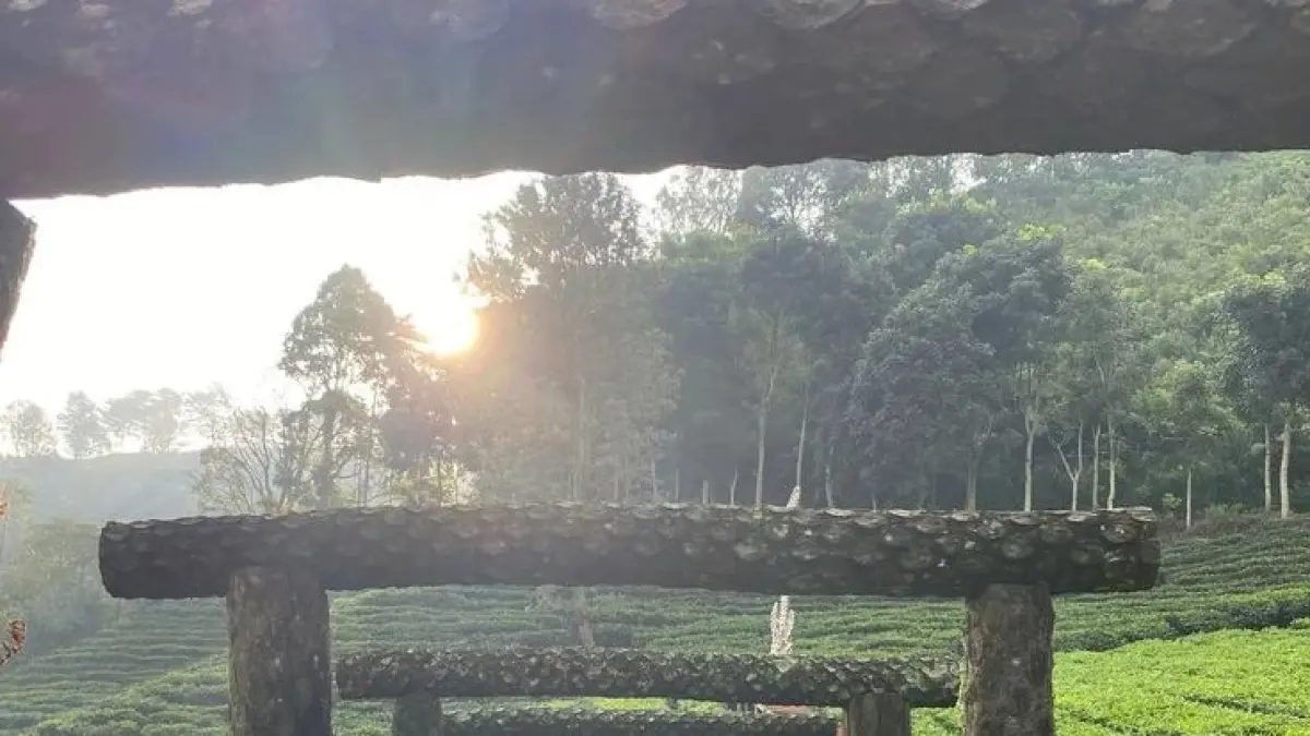 Mau liburan ke Blitar? Simak 10 rekomendasi wisata Blitar terbaru 2026 yang lagi hits, mulai dari Dunia Pelangi hingga sejuknya Kebun Teh Sirah Kencong!(Pinterest)