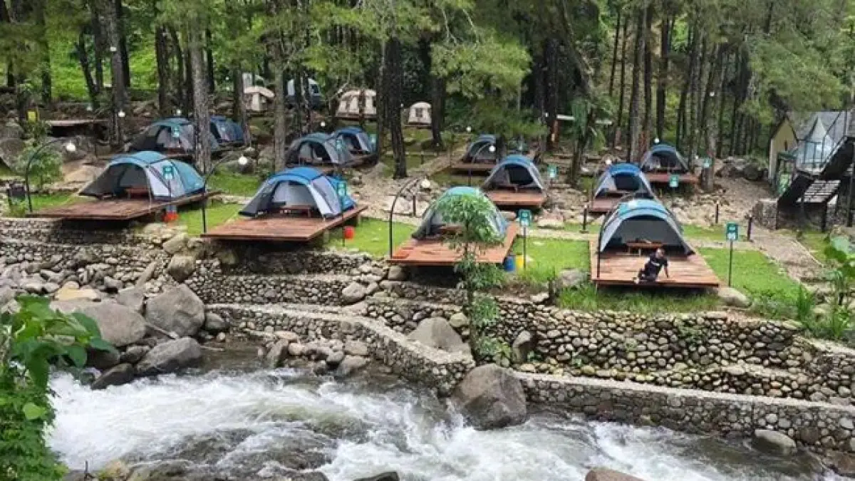 Jolotundo Glamping Nganjuk viral karena camping tepi sungai, hutan pinus, udara sejuk dan glamping estetik di kaki gunung. (Pinterest.com)