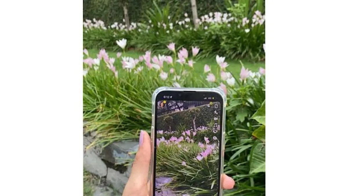 Rahasia komposisi fotografi agar hasil foto lebih profesional. Simak teknik rule of third hingga leading line dari fotografer Chandra.(pinterest)