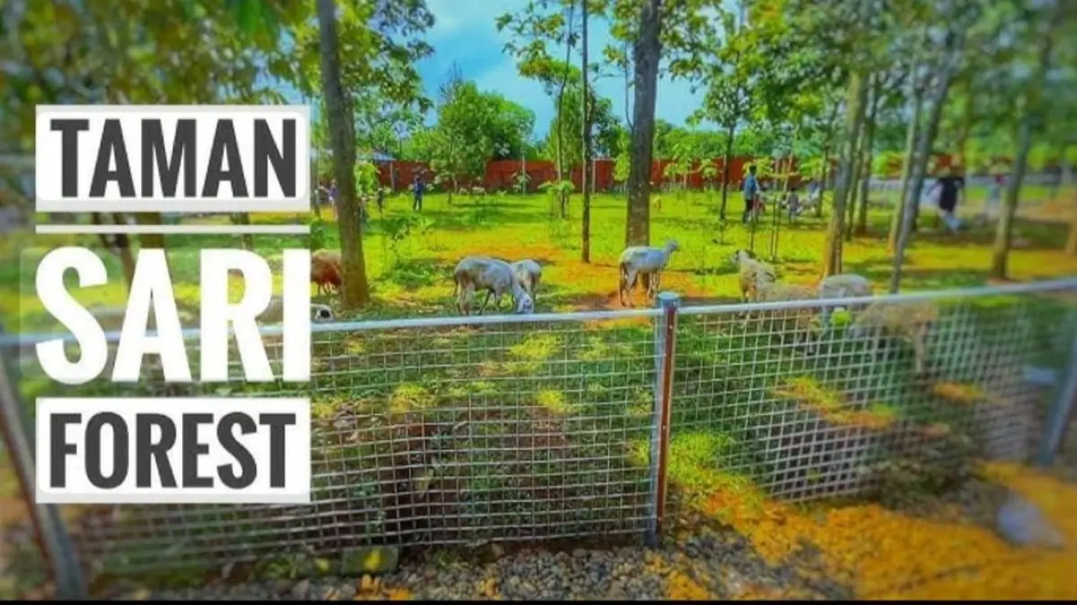 Wisata Bekasi viral! Taman Sari Forest tawarkan tiket Rp5.000, wisata edukasi, kuliner, dan hewan cocok untuk liburan keluarga.