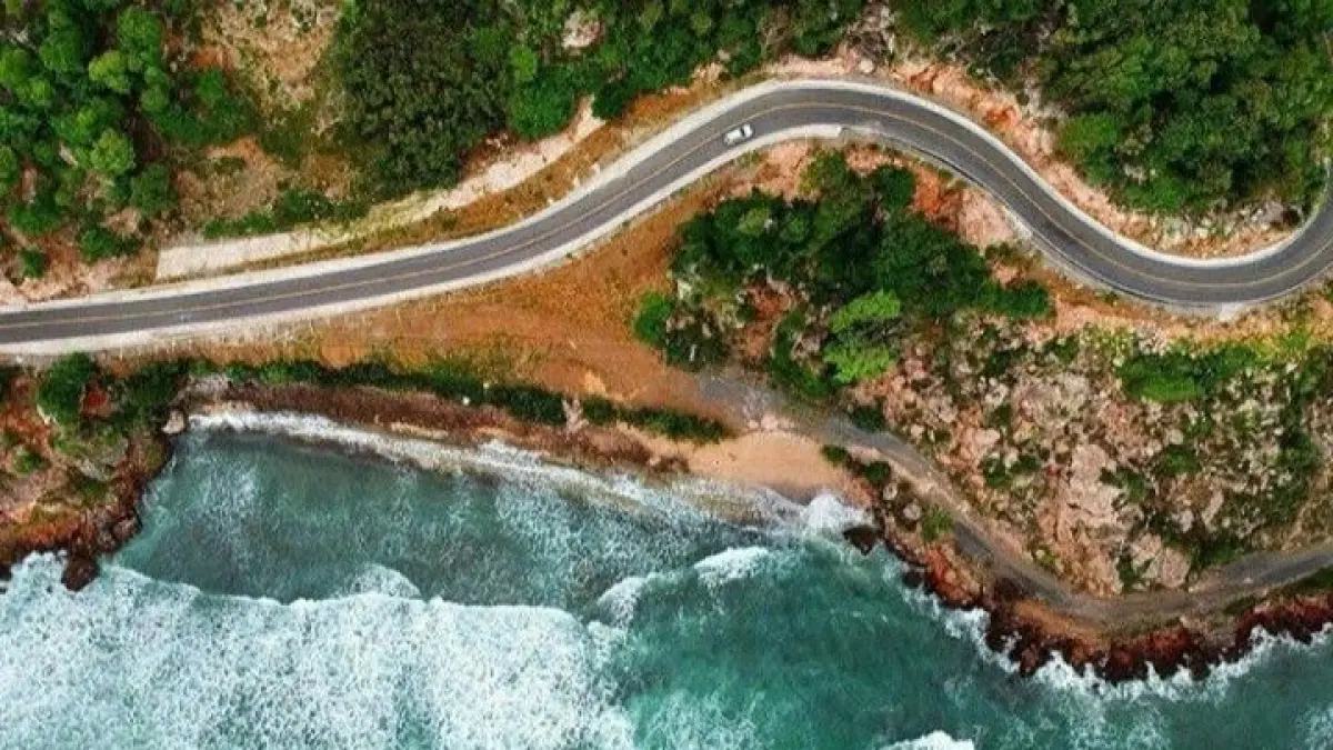 Jalur Panggul ke Trenggalek via Dongko jadi favorit pemudik, penuh tikungan indah, hutan pinus, dan spot durian legendaris.(screenshot youtube)