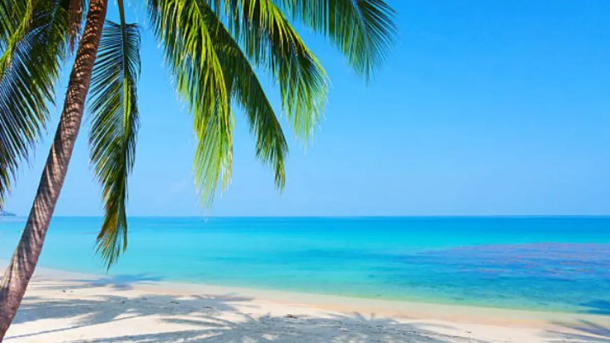 5 pantai terindah di Jawa Timur viral di media sosial, mulai Papuma hingga Teluk Hijau Banyuwangi yang eksotis. (Google)