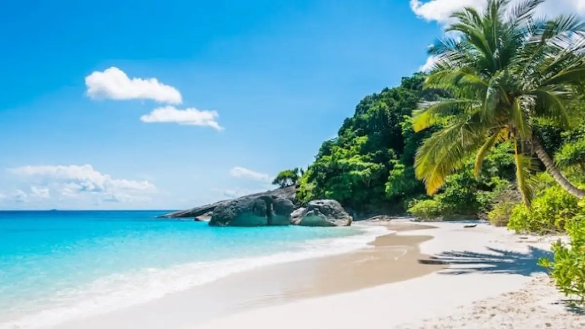 Pantai Soge Pacitan viral karena panorama JLS, pasir putih, dan sunset eksotis yang bikin wisatawan betah liburan.(Google)