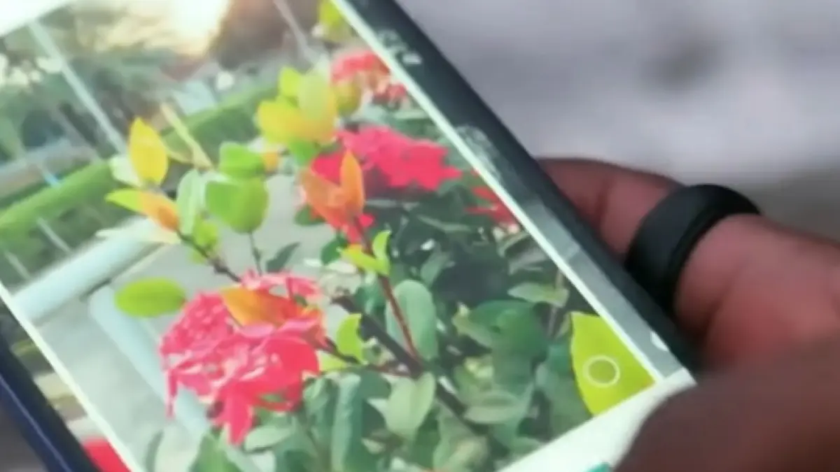 Rekomendasi HP 2 jutaan terbaik 2026 dengan performa kencang, kamera bagus, dan fitur premium. (SC YOUTUBE)
