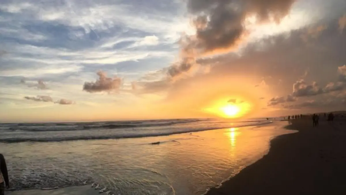 5 wisata favorit di Jogja yang paling ramai dikunjungi wisatawan, mulai Malioboro hingga Bukit Panguk Kediwung.