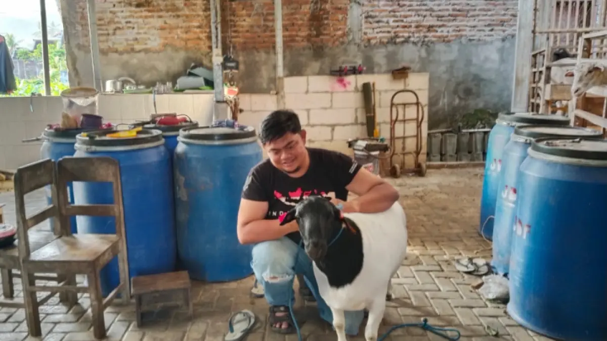 SEMPAT TERPURUK: Hewan ternak kambing khusus jenis jantan siap kurban yang harganya mulai naik. (ZAKI JAZAI/ RADAR TRENGGALEK)