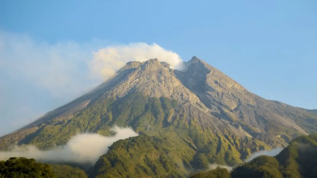 The Garden Cafe Selo Boyolali viral karena view Gunung Merapi, taman bunga estetik, dan spot nongkrong sejuk di lereng gunung.
