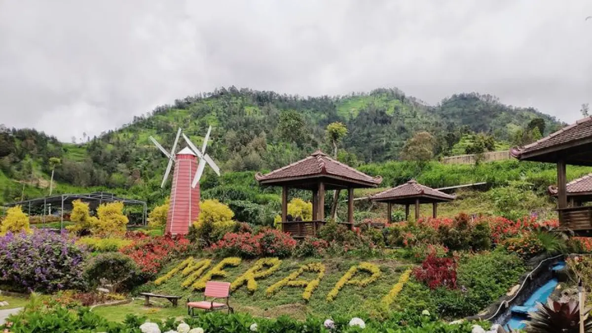 Wisata view Gunung Merapi di Boyolali dan Jogja makin viral. Ini daftar tempat ngopi dan wisata alam murah yang instagramable.