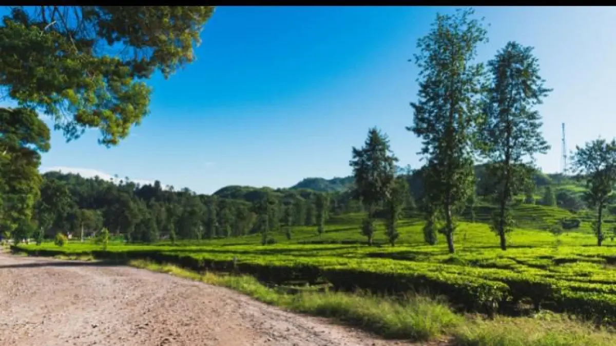 Wisata alam Bandung terbaru viral 2026 dengan destinasi sejuk, hidden gem pegunungan, dan konsep alam yang masih asri.