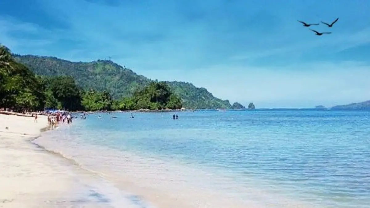 Cari liburan seru? Simak 7 rekomendasi wisata pantai Trenggalek paling populer 2026 dengan panorama alam memukau ala Bali yang wajib dikunjungi!