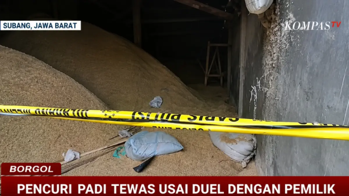 Garis polisi membentang di lokasi penggilingan padi di Subang usai aksi pencurian berujung duel maut antara pelaku dan pemilik usaha. (YT.KOMPASTV)