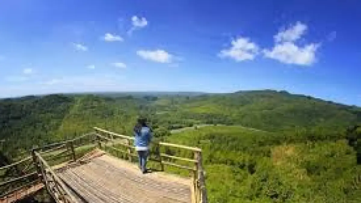 Cari wisata alam tersembunyi di Bantul? Jelajahi Dlingo dengan Jeep wisata, nikmati budaya bambu, dan kuliner tradisional dengan view sawah estetik!