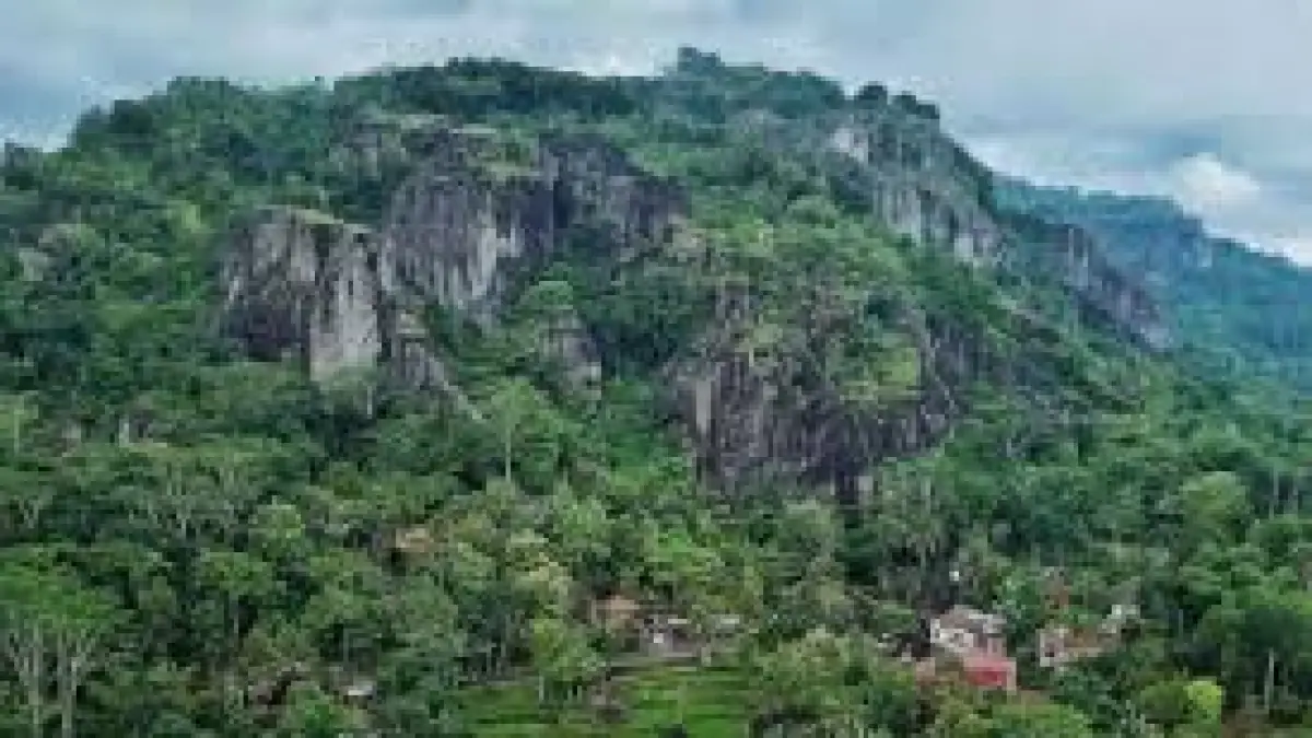 Cari Wisata Hits untuk Liburan Akhir Pekan 2026? Eksplor keindahan Gunungkidul, destinasi "Lantai Dua Jogja" dengan spot foto estetik dan kuliner.
