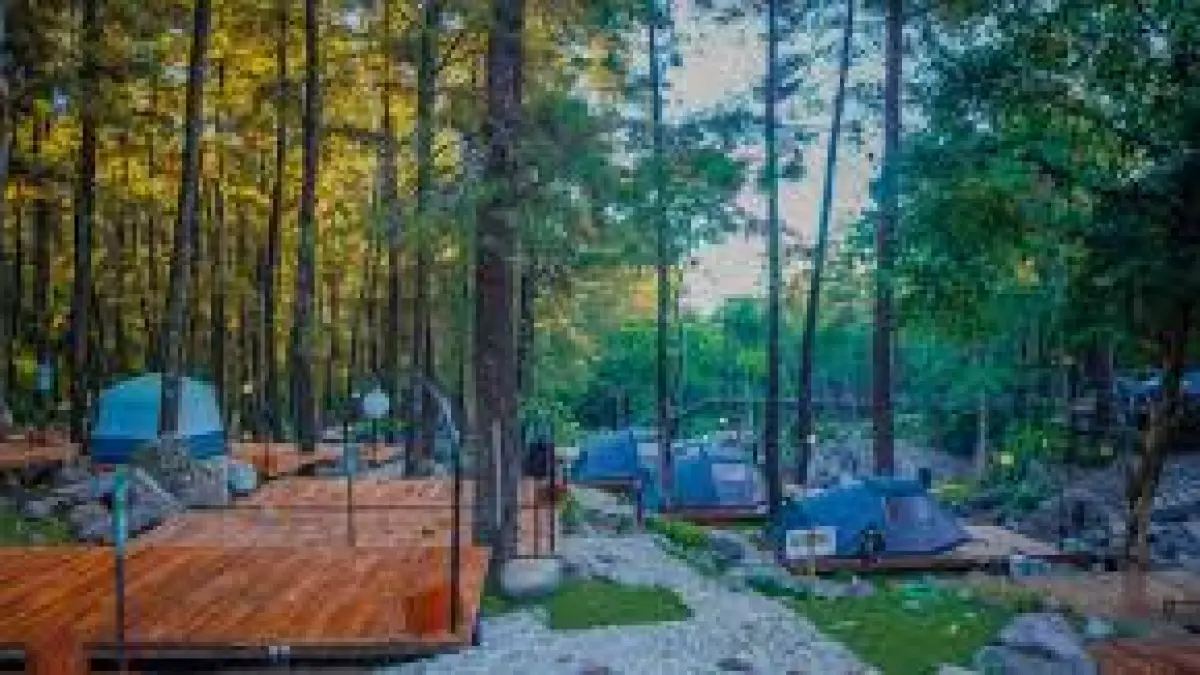 Liburan ke Nganjuk? Temukan wisata alam tersembunyi Jolotundo Glamping & Edu Park. Glamping estetik di kaki Gunung Wilis, cocok untuk healing keluarga!
