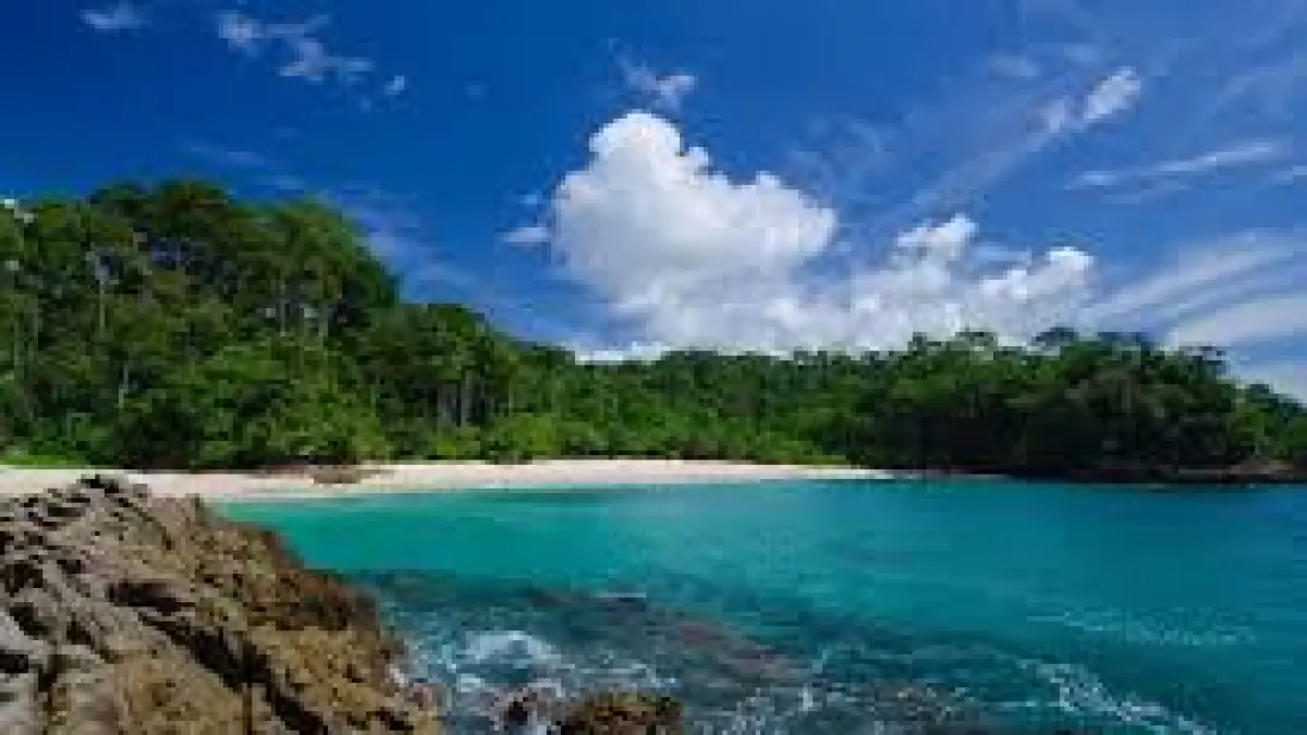 Sedang mencari destinasi liburan? Cek 5 pantai terindah di Jawa Timur ini. Ada G-Land hingga Teluk Hijau yang estetik dan mempesona. Wajib ke sini!