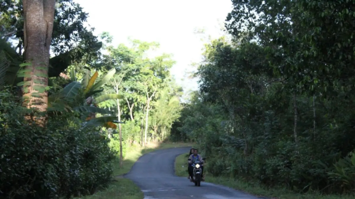 RINDANG: Kelompok yang berada  di wilayah KHDPK nantinya akan  bernaung menjadi Kelompok Tani Hutan. (FATRA ADITYA/RADAR TRENGGALEK)