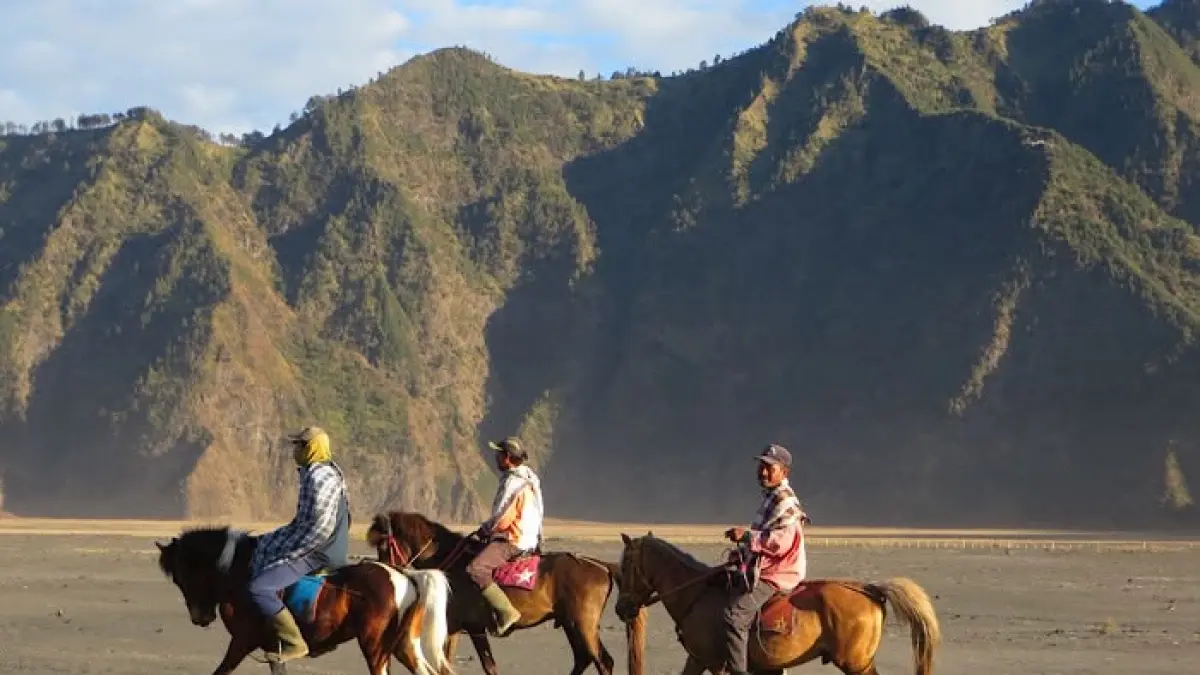 Wisata Bromo makin mudah. Simak rekomendasi homestay murah, paket jeep lengkap, dan spot sunrise terbaik untuk liburan keluarga.(pinterest)