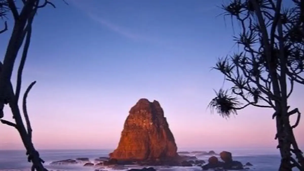Wisata terbaru Jember 2026 makin viral! Ada Rain Forest Mini Zoo, Teluk Love, Kebun Teh Gunung Gambir hingga Pantai Papuma yang wajib dikunjungi.(pinterest)