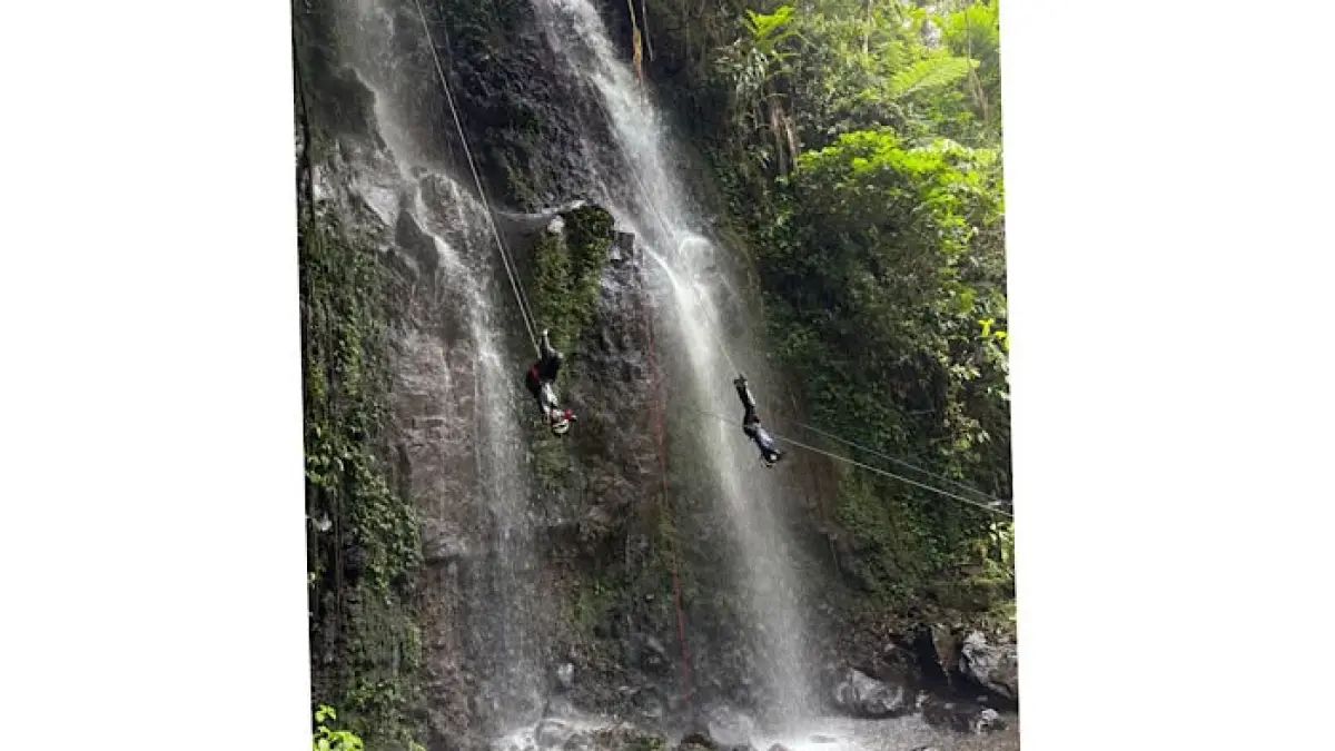 Wisata terbaru Jember 2026 semakin viral. Jelajahi Rain Forest Mini Zoo, Teluk Love, Kebun Teh Gunung Gambir hingga Pantai Papuma.(pinterest)