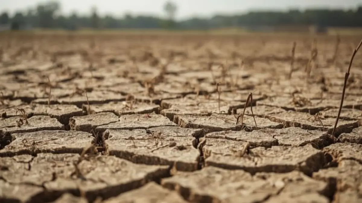 BMKG peringatkan ancaman El Nino kuat 2026 yang picu puncak kemarau dan risiko krisis pangan.(pinterest.com)