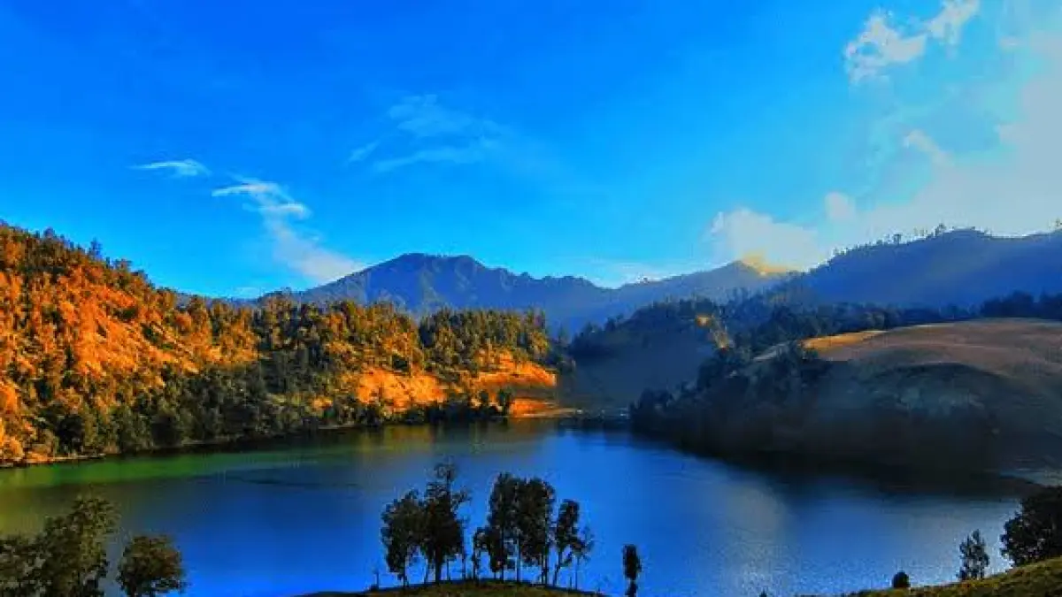 Panduan Hidden Gem Jawa Timur di dataran tinggi. Saksikan keindahan magis sunrise Ranu Kumbolo Semeru hingga fenomena langka Blue Fire Kawah Ijen.