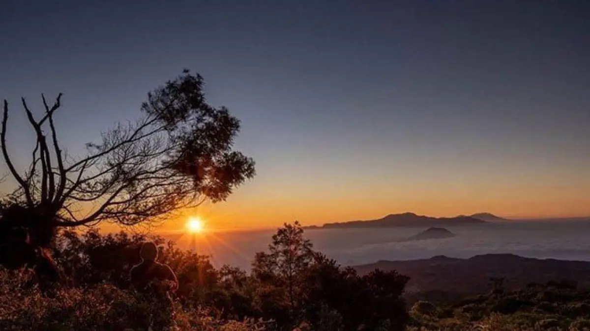 Wisata Lumajang terbaru menghadirkan Tumpak Sewu, Puncak B29, Teras Semeru, Pantai Dampar, hingga Kapas Biru yang wajib dikunjungi (Pinterest).