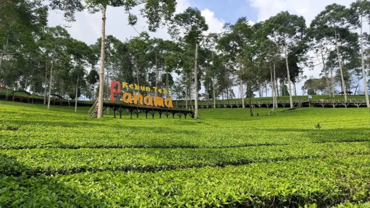 Wisata Wonosobo terbaru menghadirkan Skyline, Telaga Menjer, Kebun Teh Panama, Taman Langit, hingga Pintu Langit yang cocok untuk liburan (Pinterest).