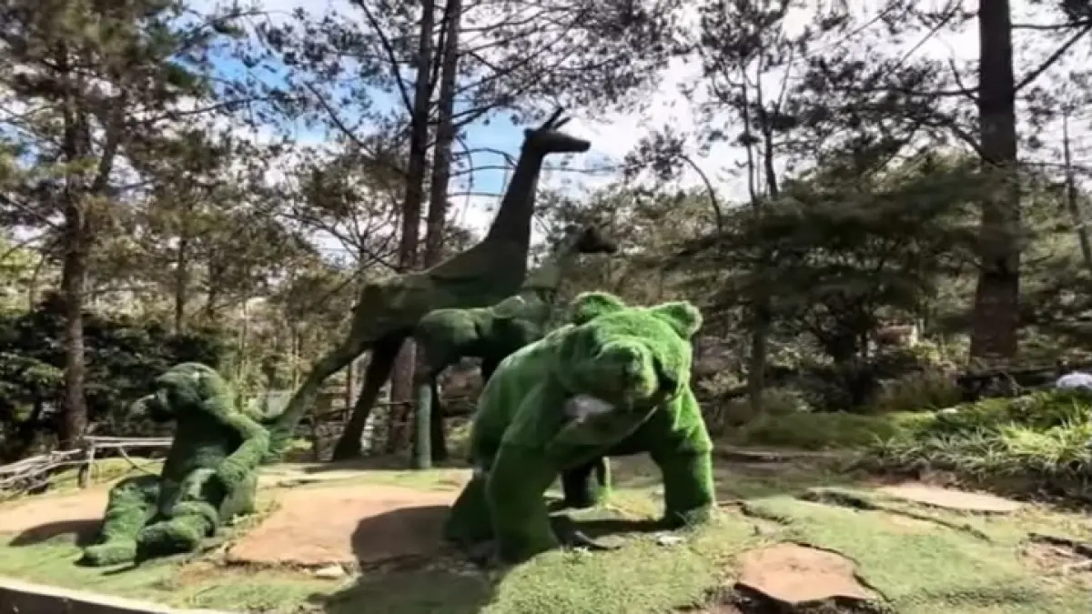 Butuh ide liburan? Ini 10 rekomendasi wisata Tawangmangu paling hits untuk keluarga. Dari jembatan kaca ekstrem hingga glamping salju. Cek di sini! (Screenshot Youtube)