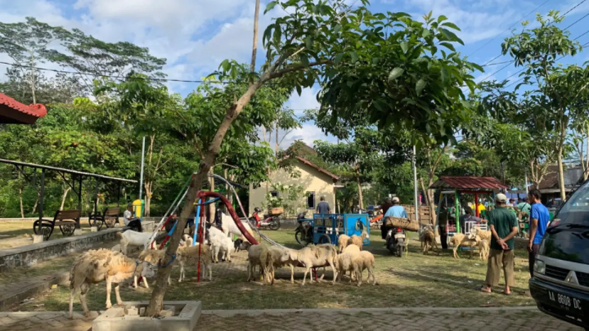 Aktivitas jual beli kambing yang ramai di RTH Desa Gandusari saat momentum pasaran Wage.(Bima