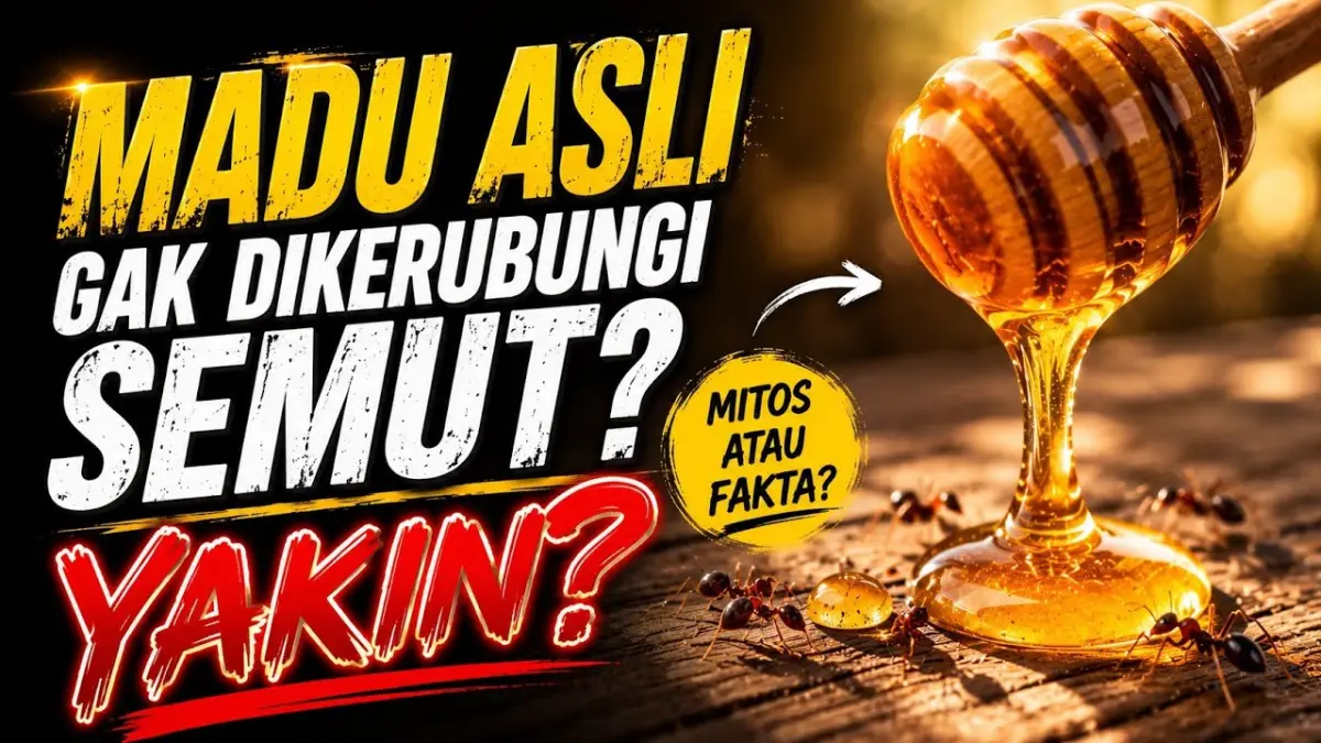 Mitos madu asli anti semut, madu asli, madu murni, semut pada madu, ciri madu asli (Youtube. com)
