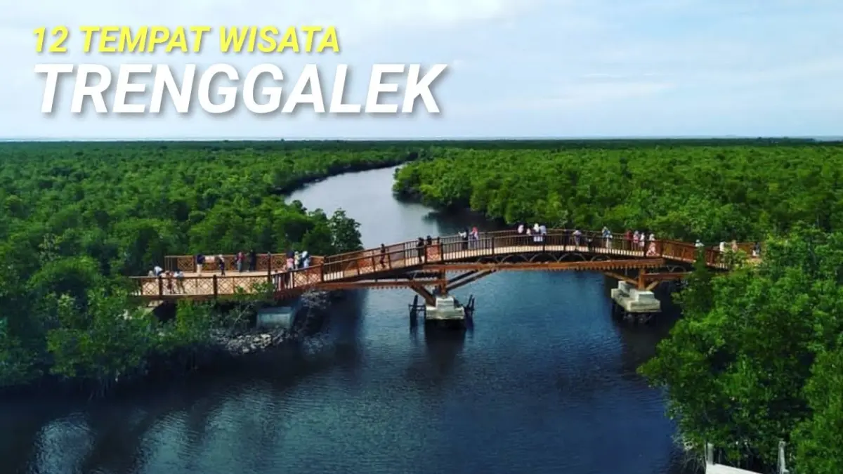 Tempat wisata Trenggalek menghadirkan 12 destinasi menarik, mulai Pantai Karanggongso, Goa Lowo, Pantai Pelang hingga desa wisata dan air terjun. (Youtube. com)