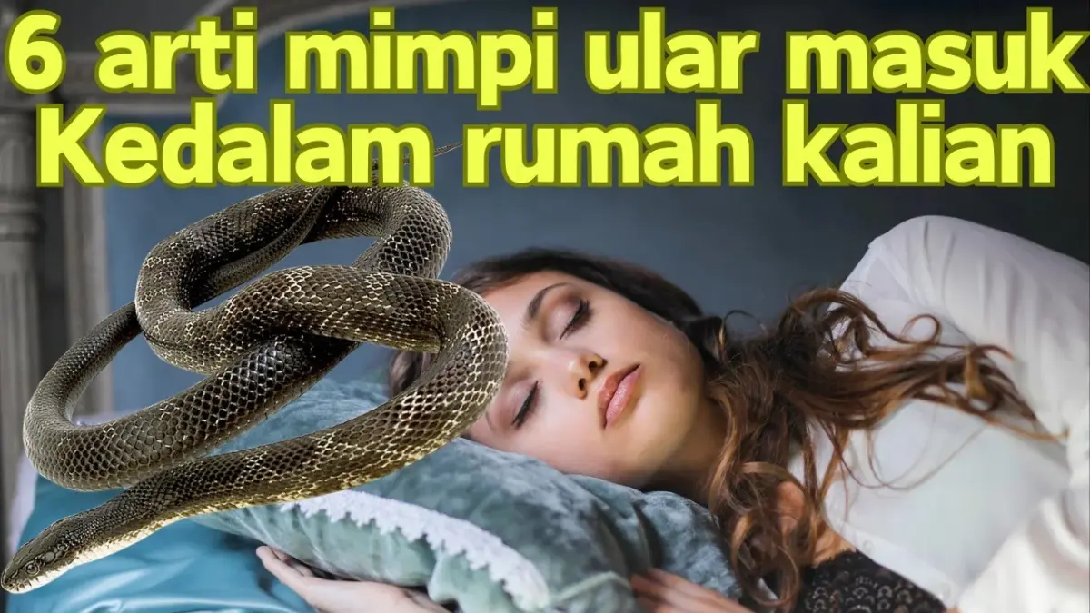 Arti mimpi ular masuk ke rumah memiliki beragam tafsir, mulai dari pertanda baik, jodoh, tamu datang hingga energi positif menurut Primbon dan Hindu. (Youtube. com)