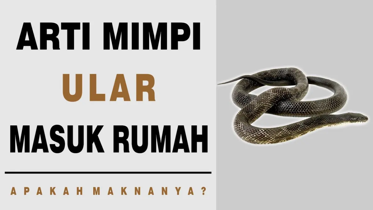 Arti mimpi ular masuk rumah memiliki beragam tafsir, mulai dari pertanda ancaman, tamu tak diundang, musibah hingga perubahan hidup. (Youtube. com)