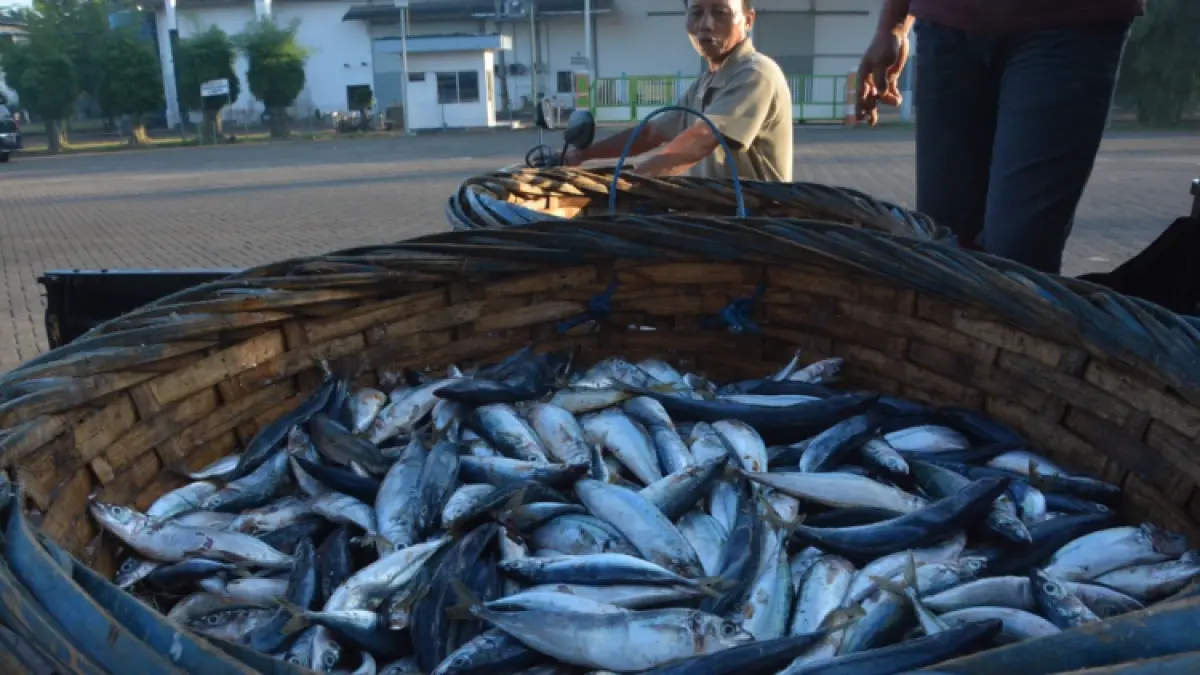 BELUM MUSIM: Tangkapan ikan nelayan di Pantai Prigi dan Trenggalek menurun drastis dibandingkan tahun kemarin.(ZAKI JAZAI/ RADAR TRENGGALEK)